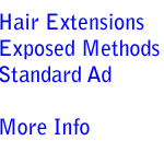 Standard Advertising Plan, Hair Extensions Exposed Methods
